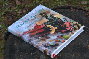 Harry Potter a kámen mudrců - ilustrované vydání