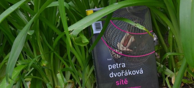 Sítě